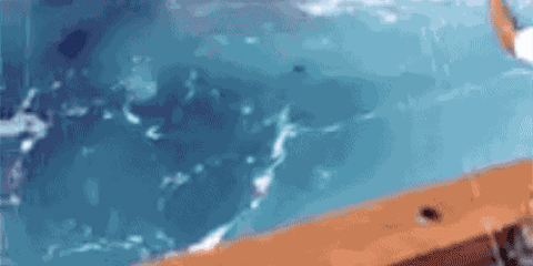 blocker image