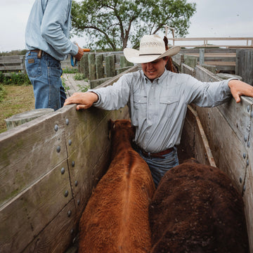 Man squeezes into space while wearing grey button down western