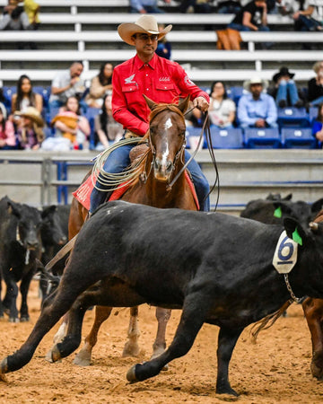 Rodeo rider in a red shirt and cowboy hat gallops behind a running black steer in an arena