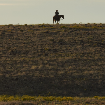 Man riding horse on a hill