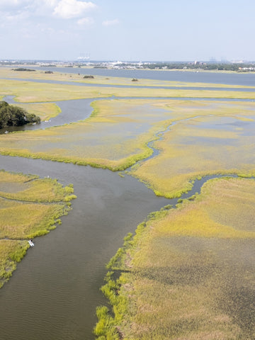 Aerial view of winding waterways through sunlit coastal wetlands with trees and distant shoreline