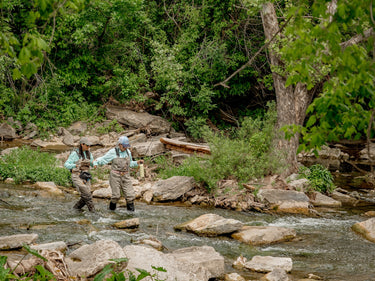 Two hikers wading through a shallow forest stream surrounded by rocks and lush greenery