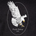 White eagle with yellow beak and talons in mid-flight over a dark background with "Poncho Outdoors USA" text below.