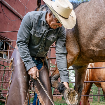 man with horse wearing the falfurrias shirt