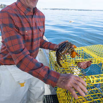 Lifestyle Photo of the Stonington