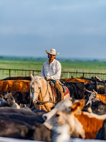 Man wearing a hat and sunglasses riding a horse in a cattle pen surrounded by cows on a farm.