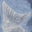 Engraved illustration of a large seashell with radiating ridges and handwritten text on a blue background