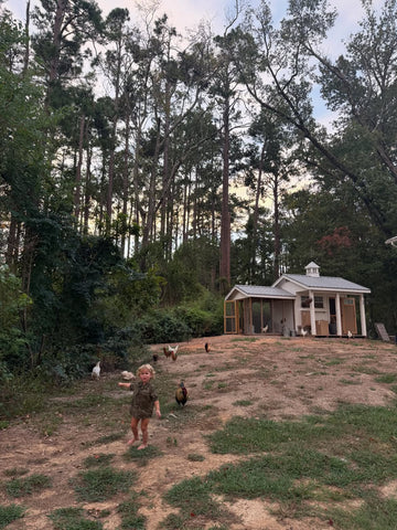 Child standing with chickens in a wooded backyard near a small cottage at dusk