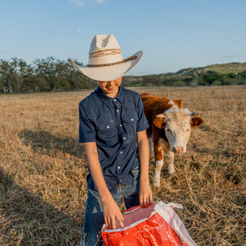 Boy feeding cows on a farm wearing navy short sleeve button down