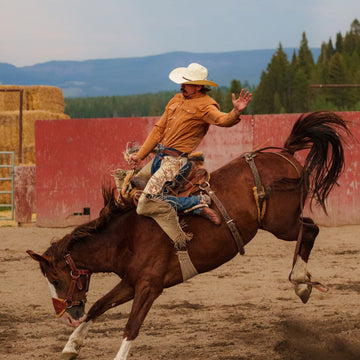 man on horse wearing the clyde shirt