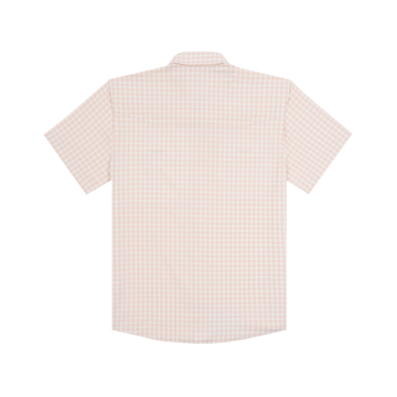 Product photo The Gumbo back