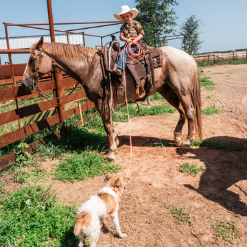 A child wearing a cowboy hat and a patterned shirt called The Palomita sits on a saddled horse while a small dog stands nearby in a sunny outdoor corral.