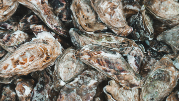 Close-up of a pile of oyster shells with varied textures and earthy tones.