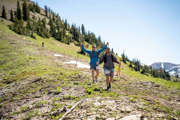 Hikers trekking across a sunny alpine slope with mountain views and evergreen trees
