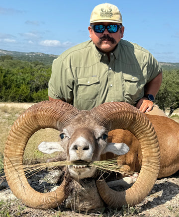 Man in sunglasses and a button-up shirt poses behind a large ram with curled horns outdoors