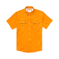 The Knoxville