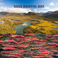Bristol Bay photo