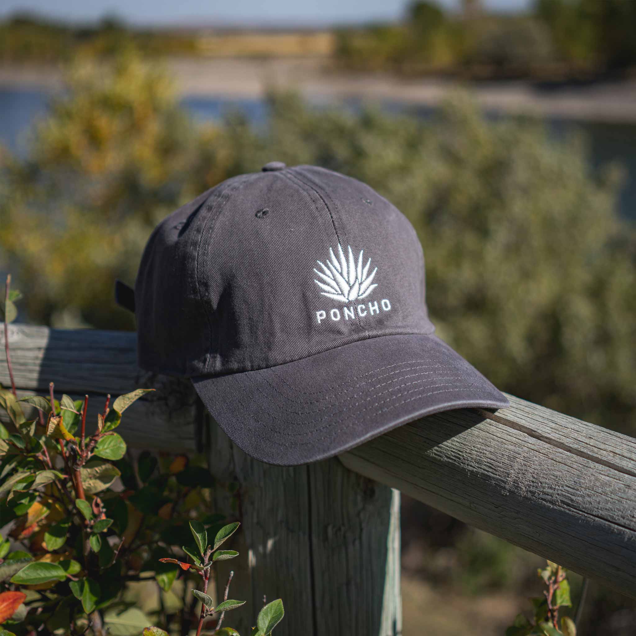 Grey Agave Dad Hat